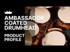 Remo+ Remo BA-0112-00 Ambassador Coated 12" Drum Head -Alesis Store hqdefault